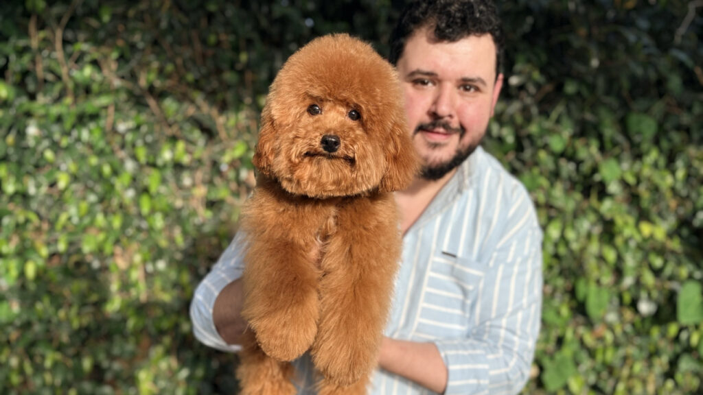 Kashef pets grooming – Maadi