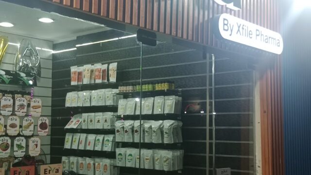 Google Photo 3