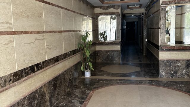 Google Photo 2