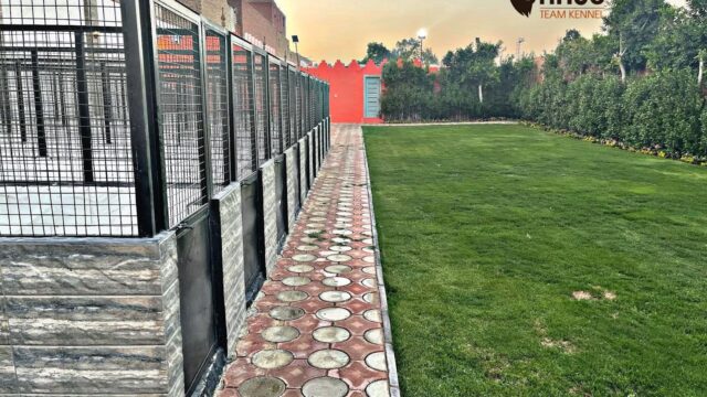 Google Photo 3