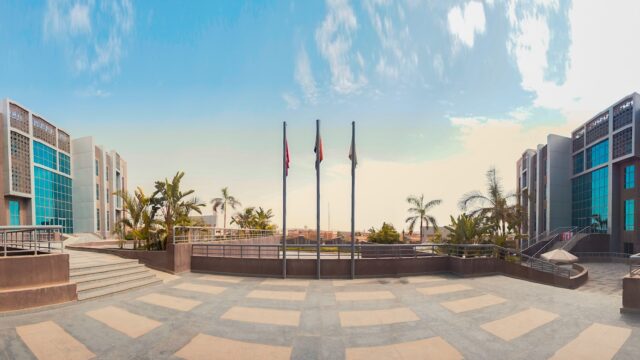 Google Photo 3