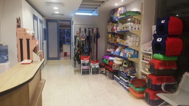 Google Photo 1