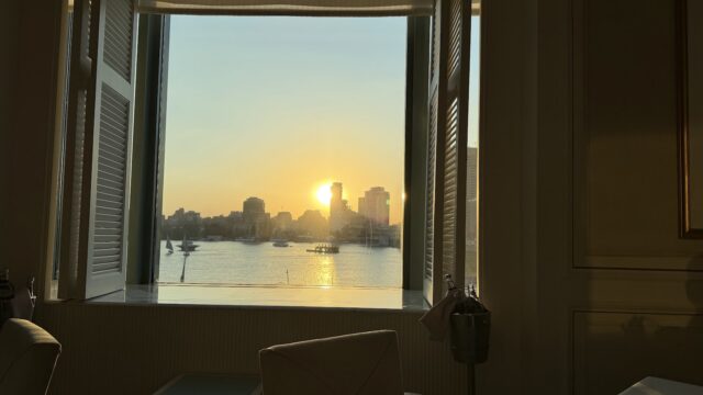 Google Photo 4