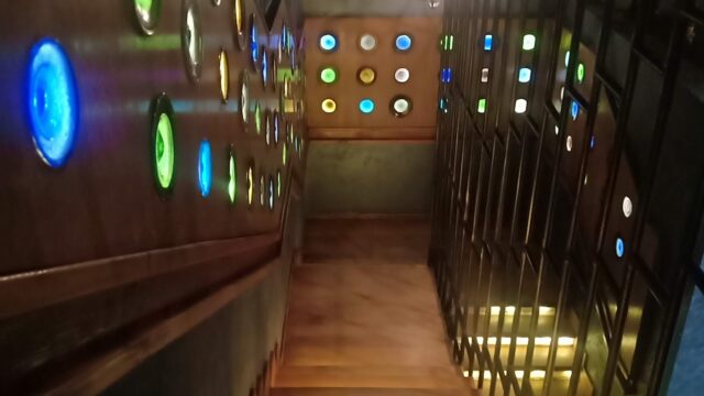 Google Photo 5