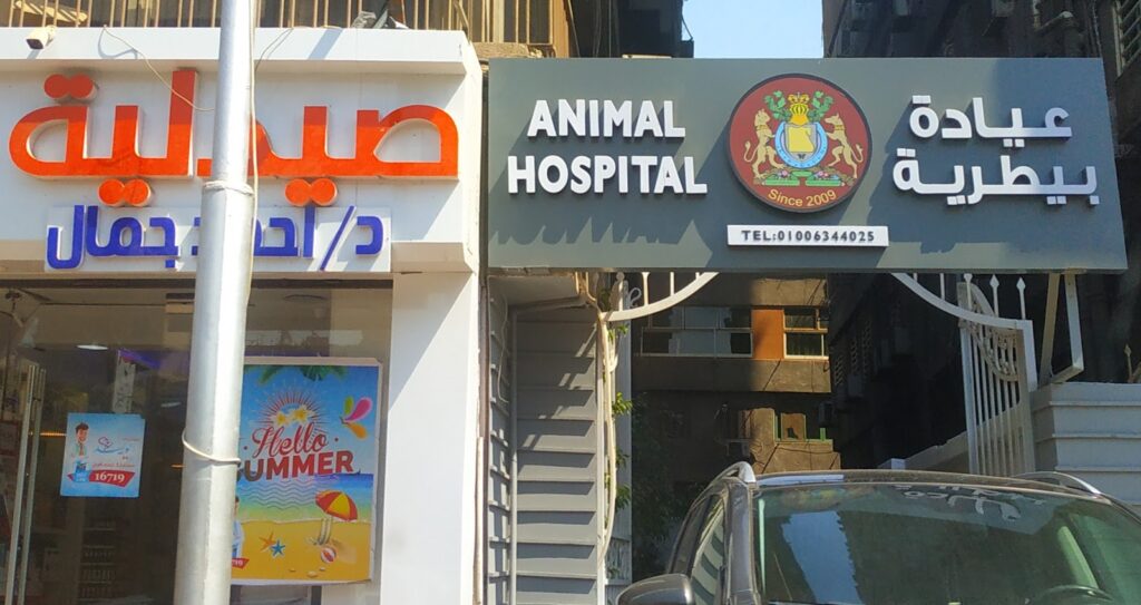 British Animal Hospital – Mohandeseen