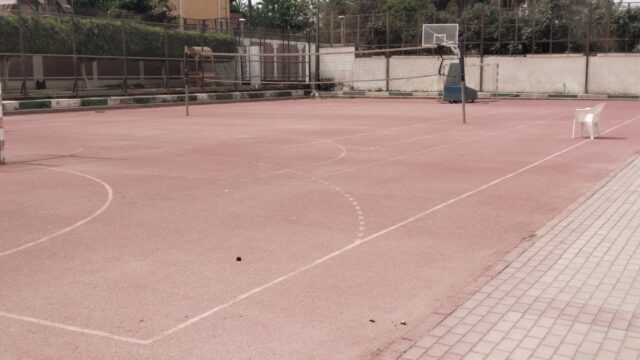 Google Photo 3