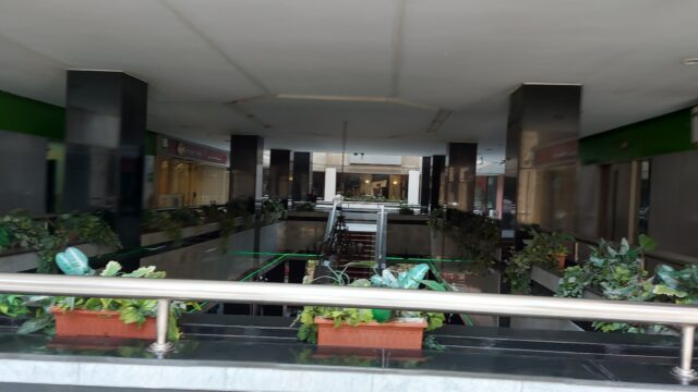 Google Photo 4
