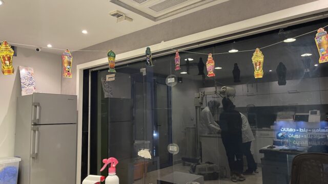 Google Photo 4