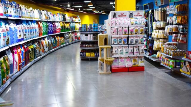 Google Photo 5