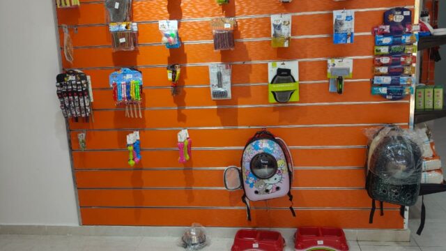 Google Photo 5