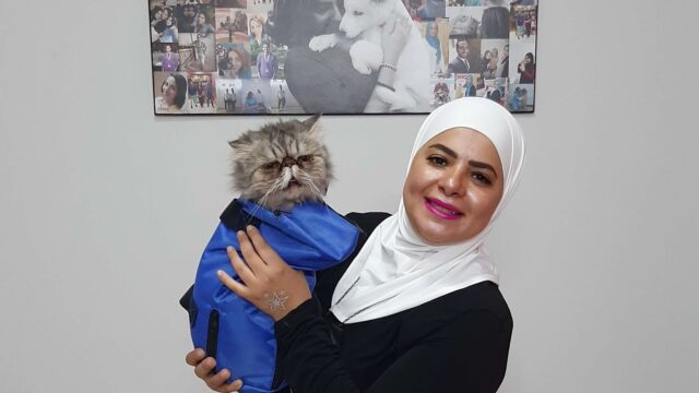 Google Photo 5