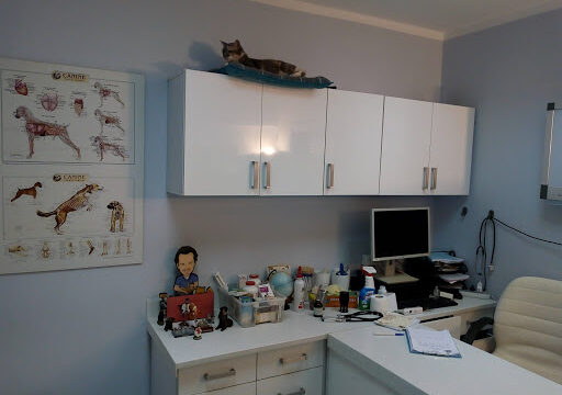Google Photo 3