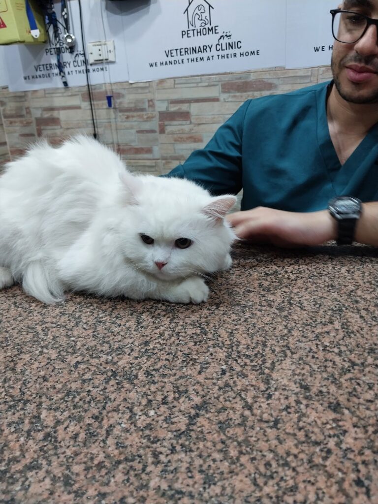 PetHome Veterinary Clinic
