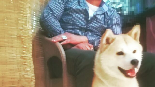 Google Photo 2