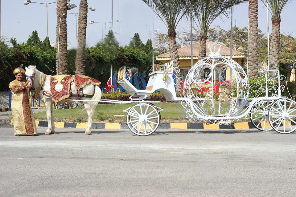 منظم ومخطط مناسبات
