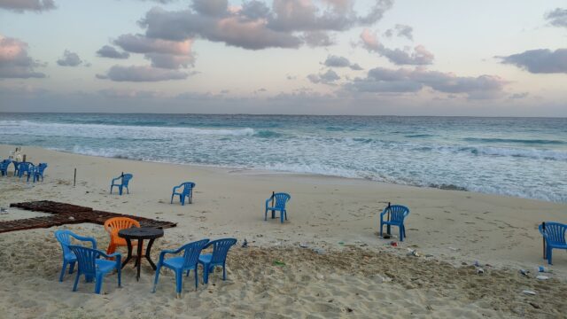 Google Photo 3