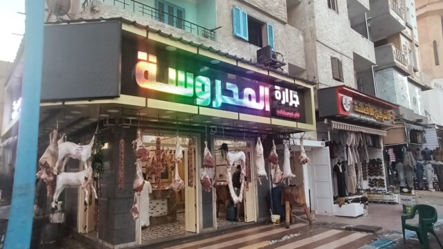 Google Photo 1