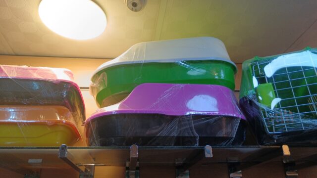 Google Photo 2