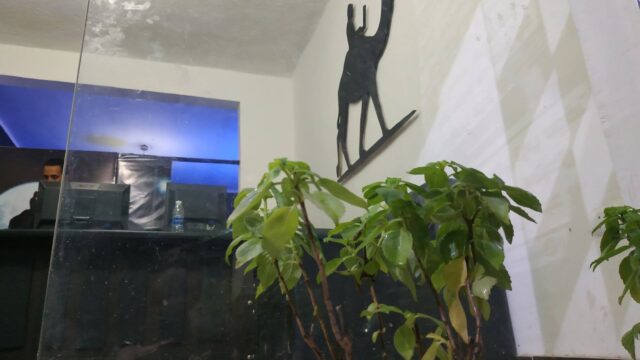 Google Photo 5