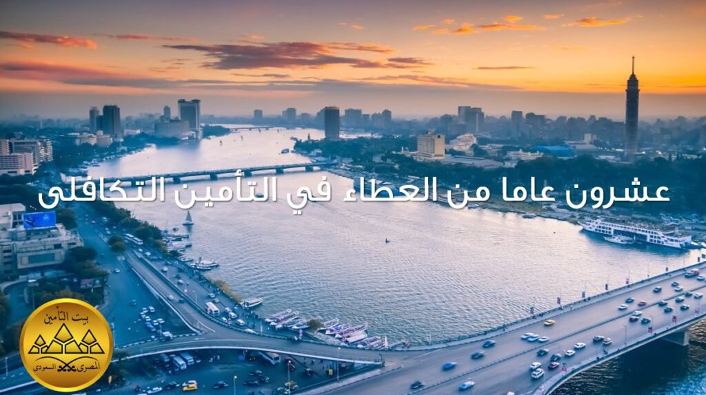 شركة التأمين المصرية السعودية