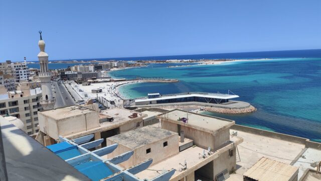 Google Photo 2