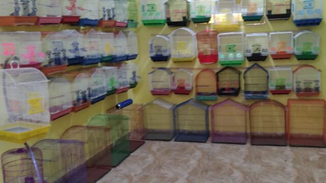 Google Photo 1