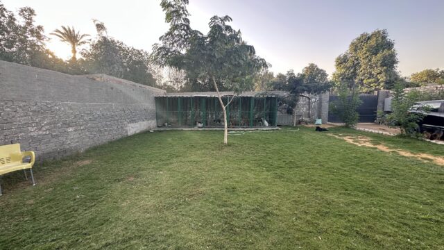 Google Photo 4