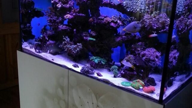 Google Photo 2