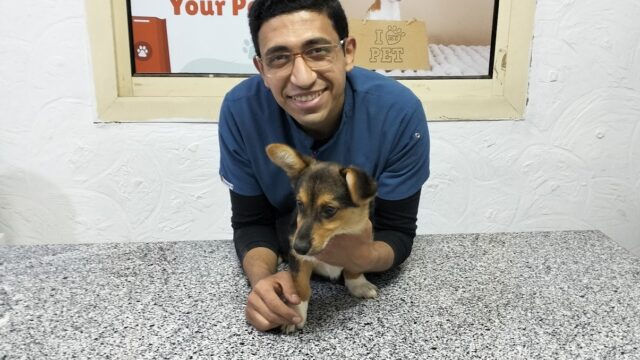Google Photo 3
