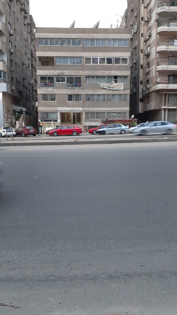 3 حيوانات أليفة