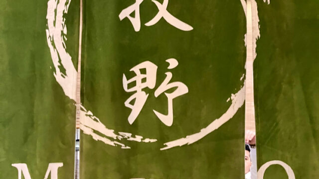 Google Photo 3