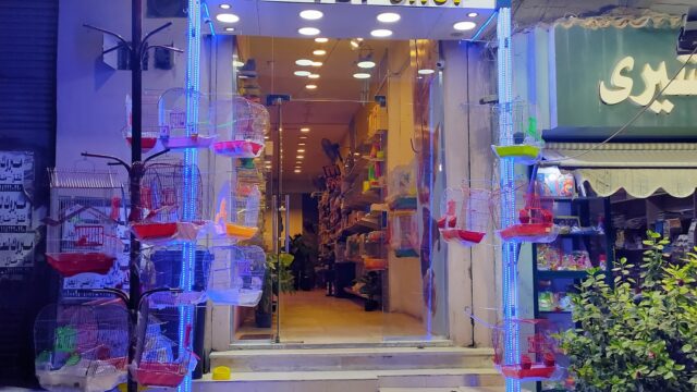 Google Photo 1