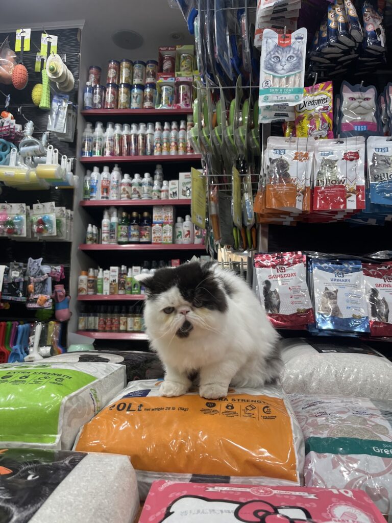 Pets perfect