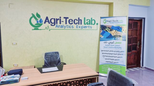 Google Photo 2