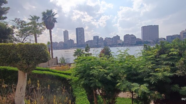 Google Photo 1