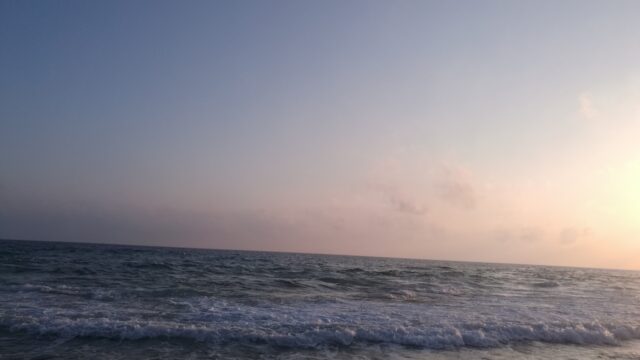 Google Photo 4