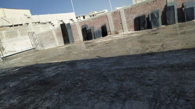 Google Photo 2