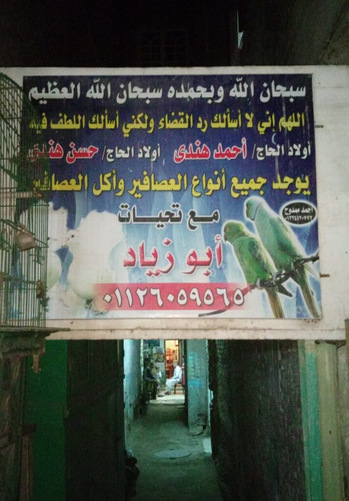 يوسف هندى لطيور الزينة الاليفة