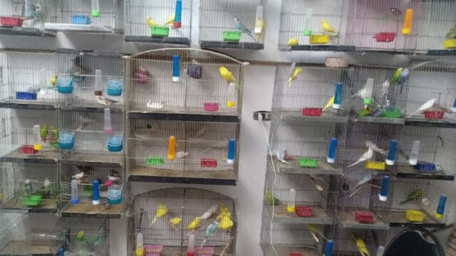 Google Photo 2