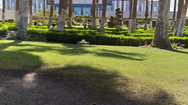 Google Photo 5