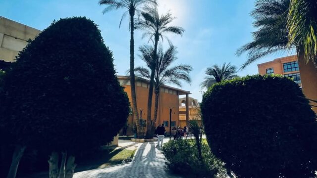 Google Photo 1
