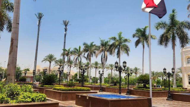 Google Photo 5