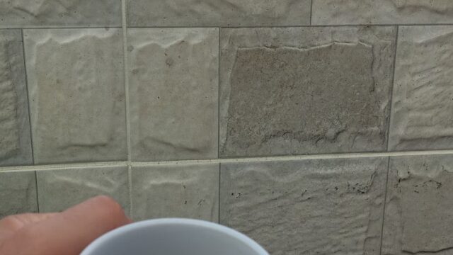 Google Photo 5
