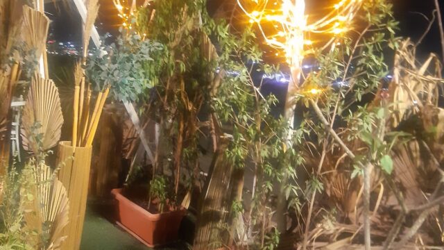 Google Photo 3