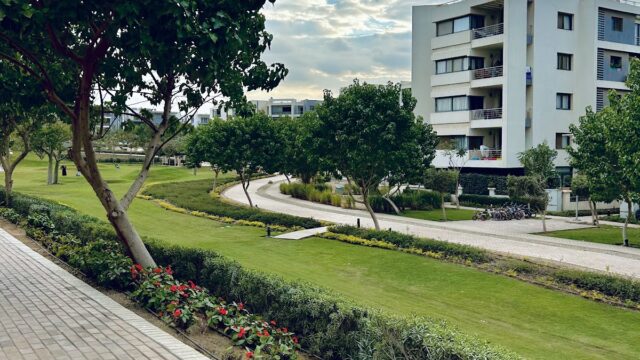 Google Photo 3