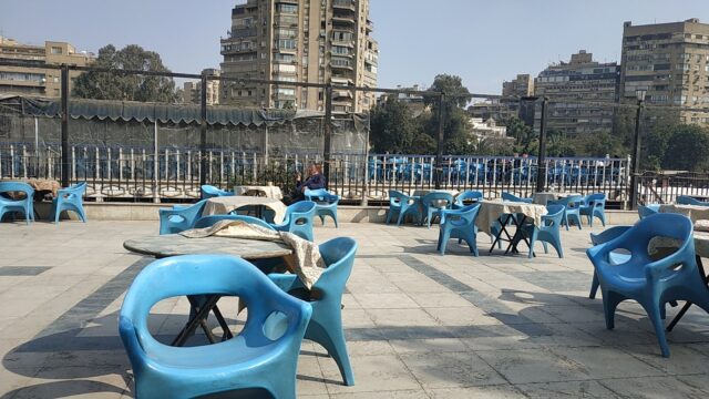Google Photo 5