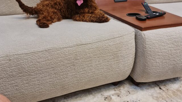 Google Photo 3