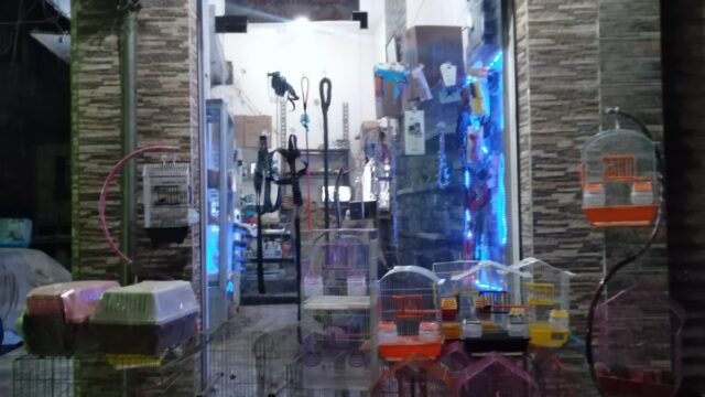 Google Photo 1