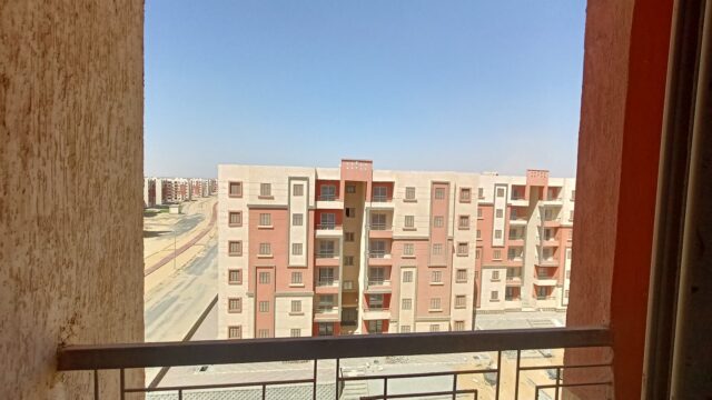Google Photo 5