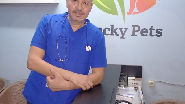 Google Photo 5